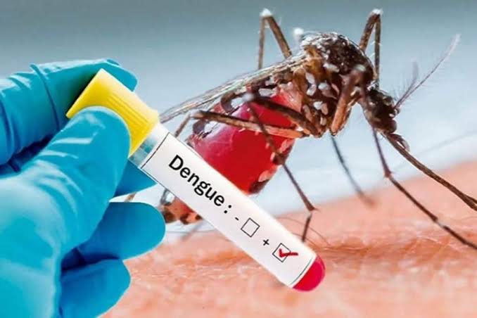 Rising Dengue Cases in Pimpri-Chinchwad: 57 Infected in Two Months Despite Prevention Efforts